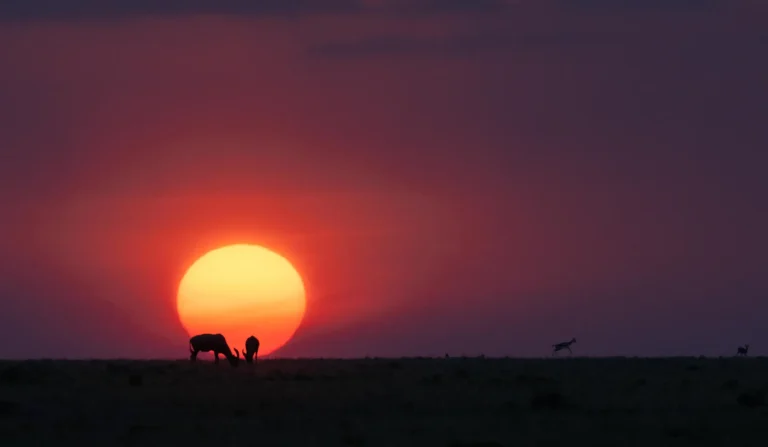 Topi Mara sunset without watermark (1 of 1)